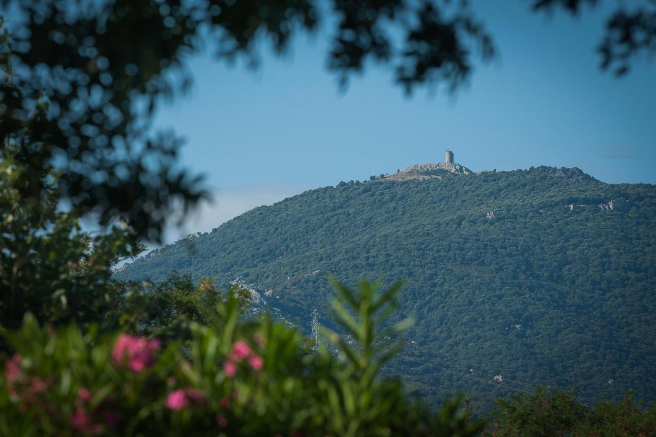 Camping La Plage Argeles Luaran gambar